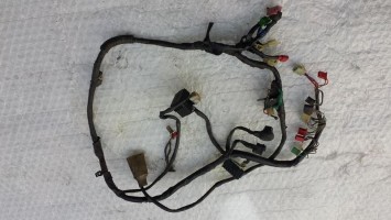 Проводка главная фишки в сборе Honda CBR 600 F2 1992
