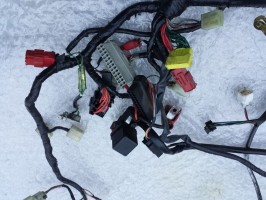 проводка основная двигателя Honda CBR 954 2002 2003