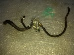 термостат в корпусе Honda CBR 954 2002 2003