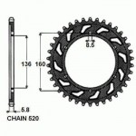 SUNR1-3637-47