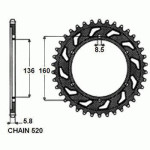 SUNR1-3637-47